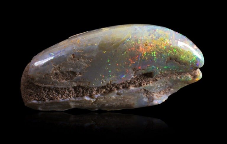 Opalized clam from Coober Pedy, Australia