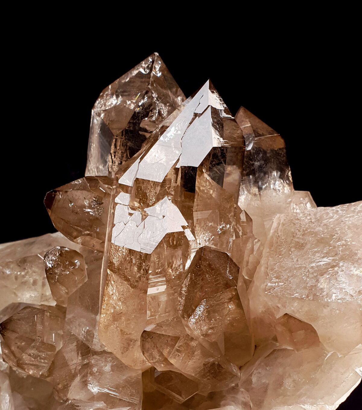 Smoky Quartz - Mont-Blanc, France - Image 5